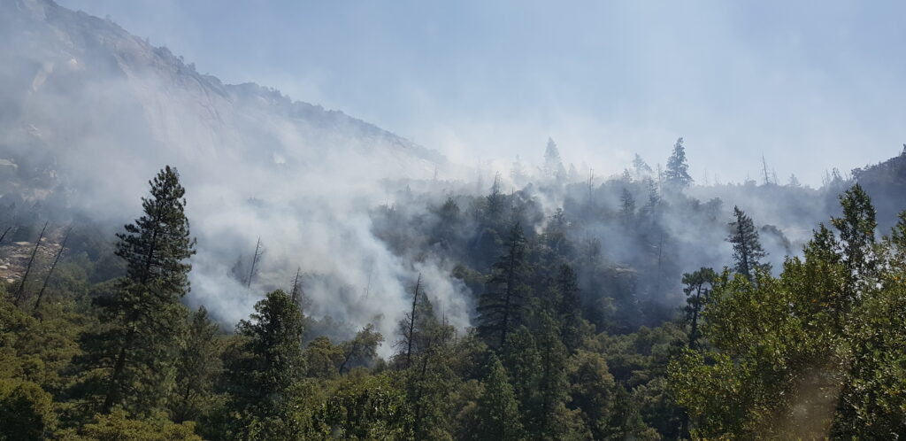 20180815 124612 20180815 124612