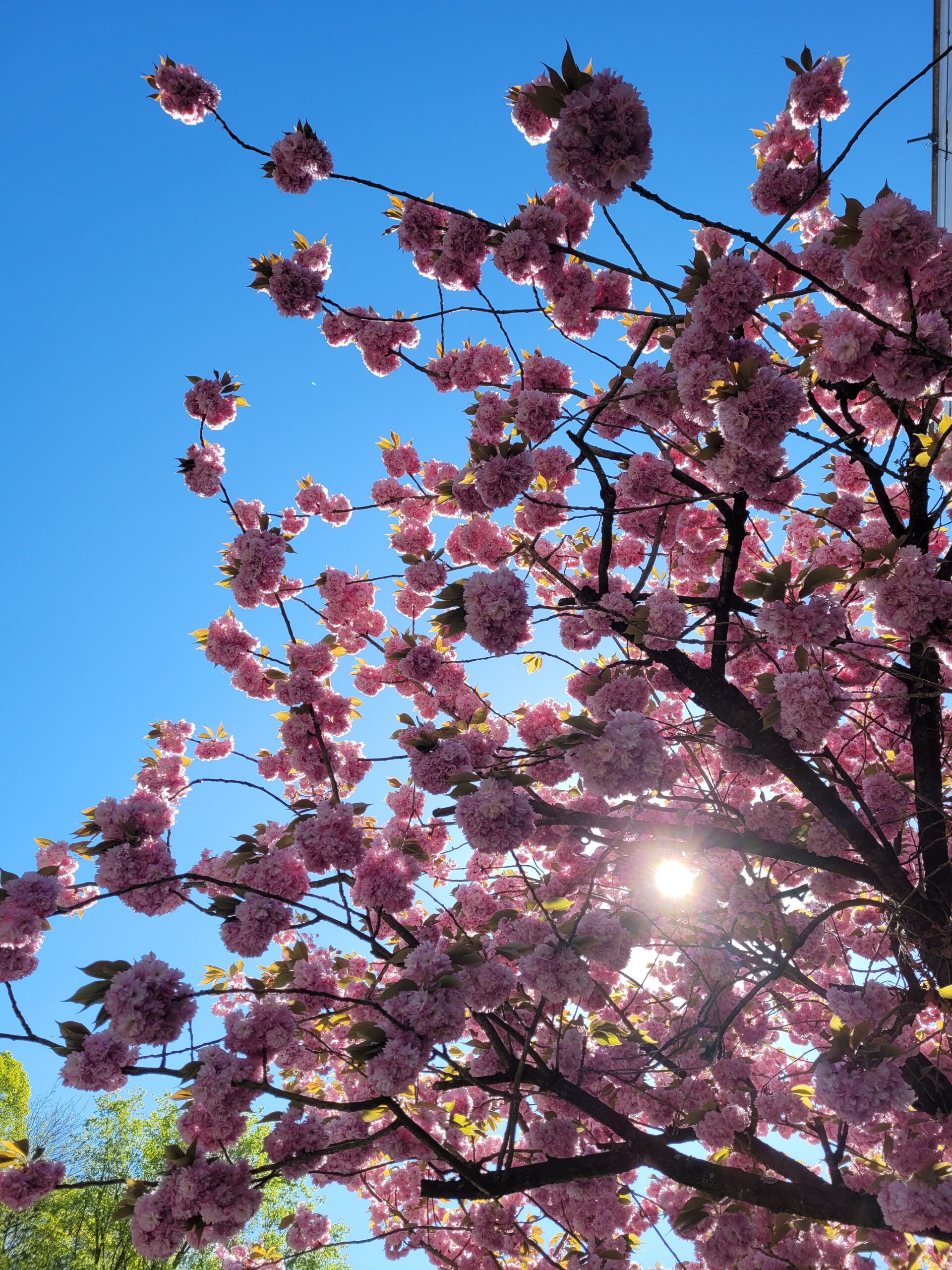 20220420 152417 Scaled