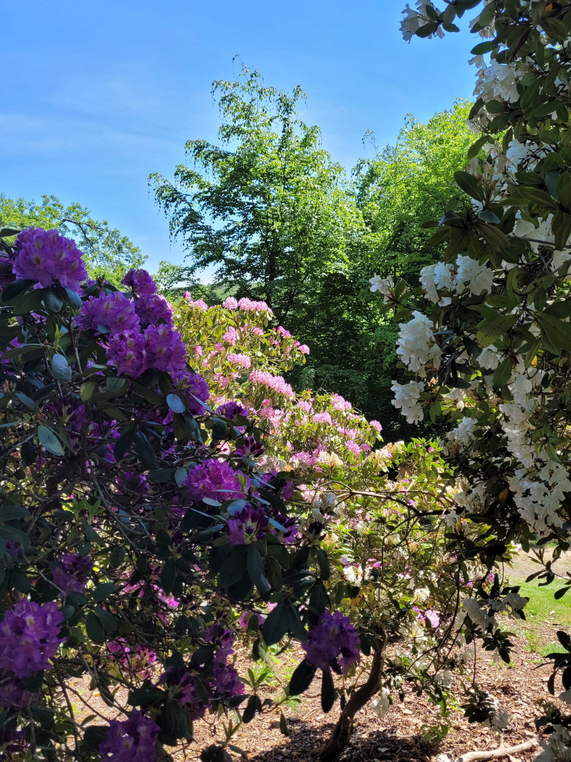 20220515 124347 Scaled