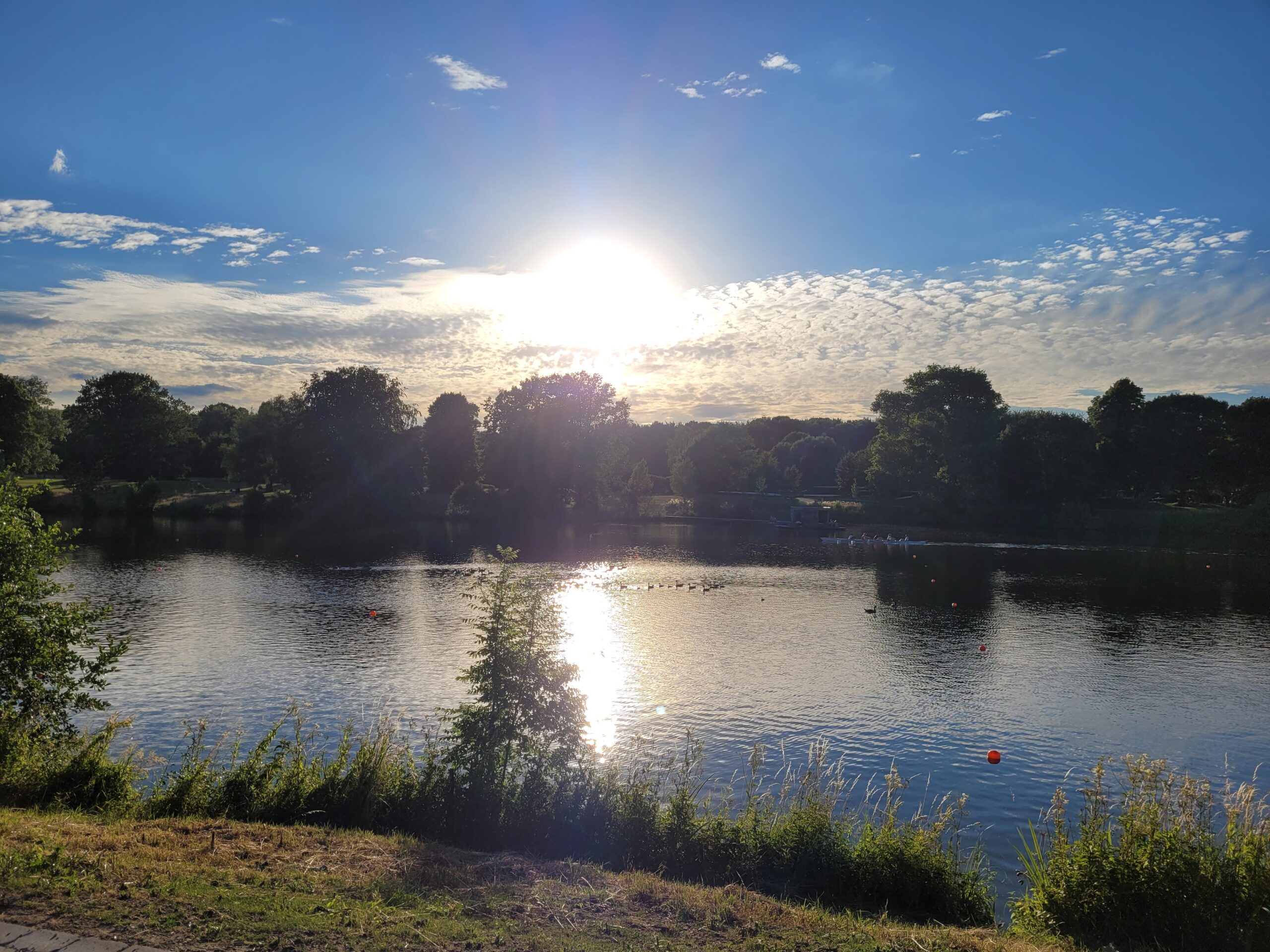 20220702 201704 Scaled