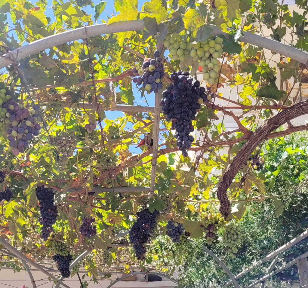 20220816 143832 20220816 143832