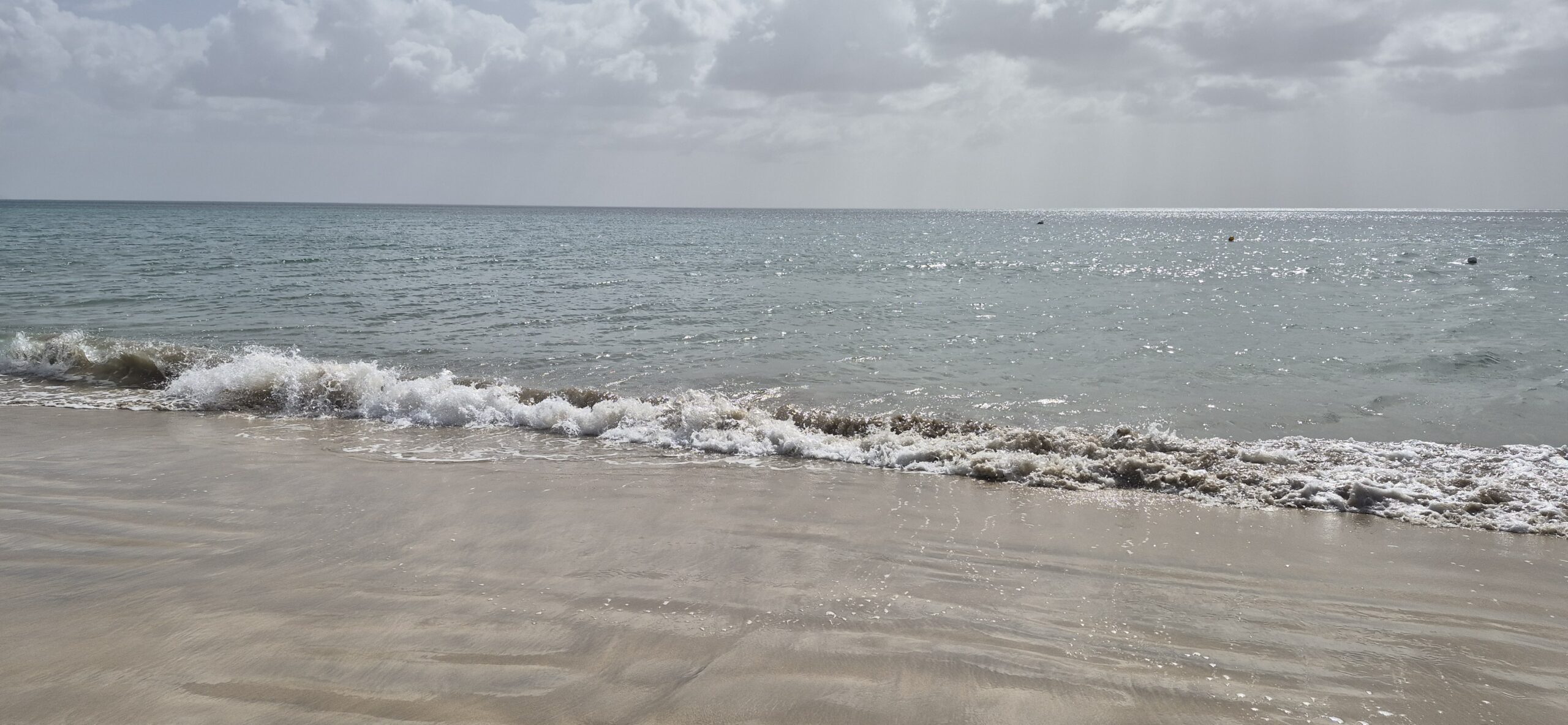 20260305 105524 Scaled